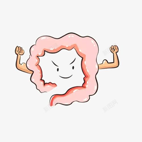 健康的肠道png免抠素材_88icon https://88icon.com 健康 医疗 卡通 卡通肠道 双手 手绘 检查 肌肉 肠道