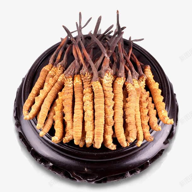 纯天然中药材冬虫夏草png免抠素材_88icon https://88icon.com 中华人民共和国西藏自治区 中国西藏 中药 产品实物 北虫草 断草 新草 药材 虫草 西藏那曲 道地虫草 野生