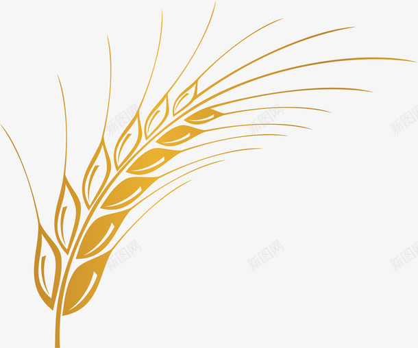金色的麦子png免抠素材_88icon https://88icon.com 五谷杂粮 农作物 几何图形 食物 麦子 黄色