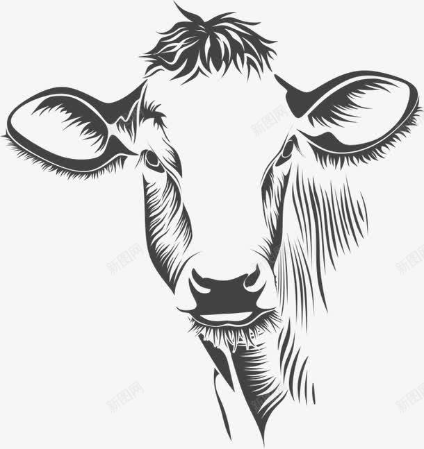 牛牛头素描png免抠素材_88icon https://88icon.com 牛 牛头 素描 黑白牛头