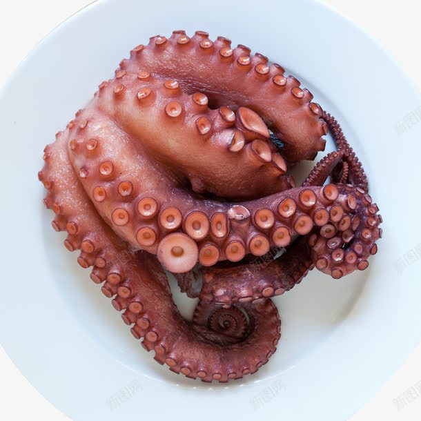 章鱼足刺身png免抠素材_88icon https://88icon.com 刺身 碟子 章鱼足 美食