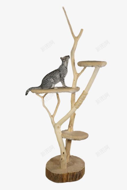 放物品的支架png免抠素材_88icon https://88icon.com 产品 全部商品 摆放东西 木头 猫咪