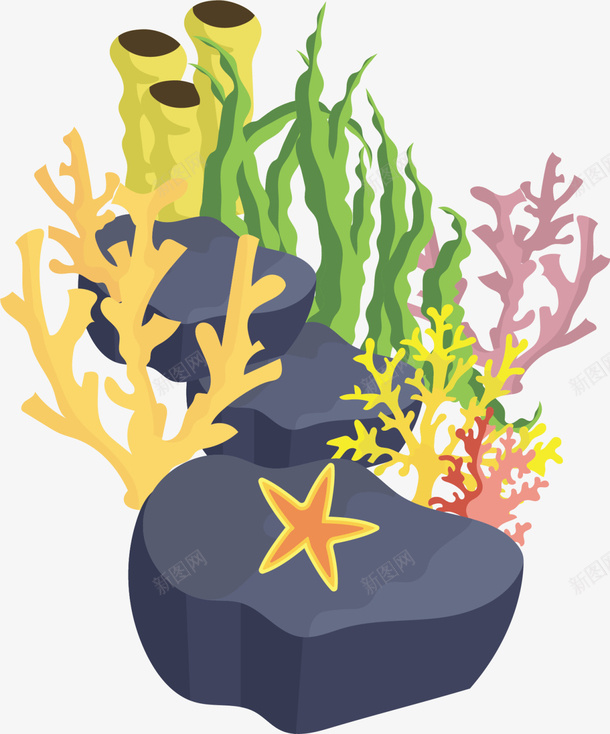 立体海底珊瑚海草png免抠素材_88icon https://88icon.com 6月8号 世界海洋日 大海 海星 珊瑚海草 珊瑚礁 自然