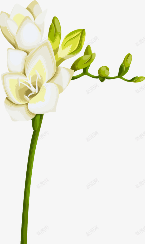 唯美白色花朵png免抠素材_88icon https://88icon.com 唯美花朵 栀子花 白色花朵 绿色叶子 绿色藤蔓 花朵装饰