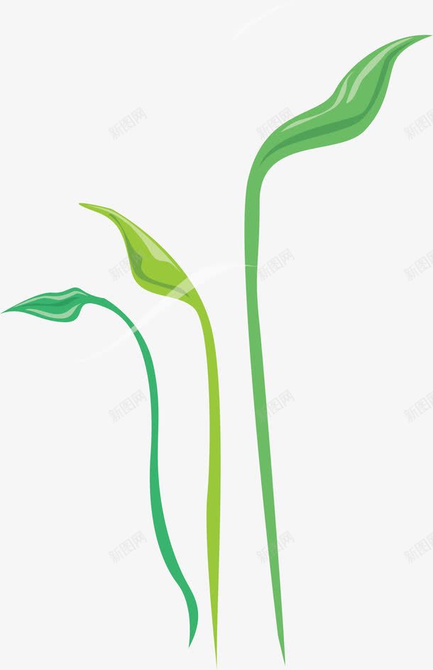 长在石头的小草手绘小草地png免抠素材_88icon https://88icon.com 仿真草 单独小草矢量图 小花小草儿童 小草和虫子 小草实景 小草漂浮物 带根的小草 彩绘小草 水滴中的小草 鲜嫩的小草