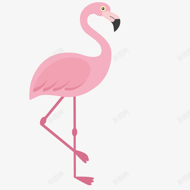 粉红色火烈鸟绘画png免抠素材_88icon https://88icon.com 动物 卡通 手绘 火烈鸟 火焰鸟 简单 粉红色 鸟儿