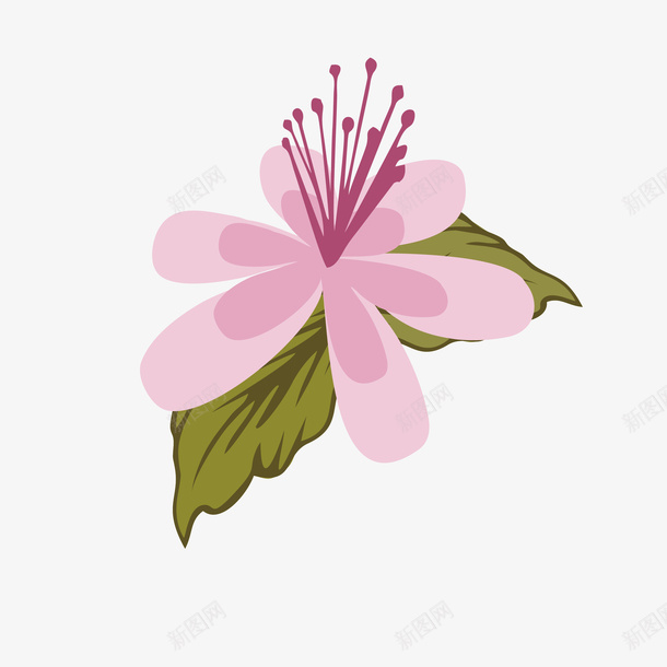 带两片叶子绽放的杜鹃花瓣矢量图ai免抠素材_88icon https://88icon.com 五瓣花瓣 卡通手绘 可爱 带两片叶子 杜鹃 杜鹃花瓣 粉色 绽放 花蕊 矢量图