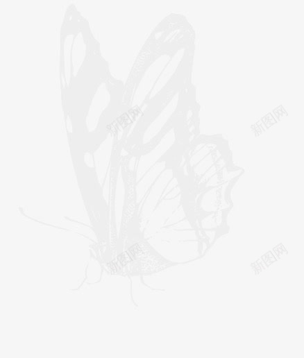 白色蝴蝶造型飞翔模糊png免抠素材_88icon https://88icon.com 模糊 白色 蝴蝶 造型 飞翔