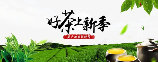 好茶上新季png免抠素材_88icon https://88icon.com 好茶上新季 绿叶 茶具 茶园