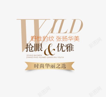优雅抢眼png免抠素材_88icon https://88icon.com 女装 女装海报 张扬华美 时尚华丽直选 棕色艺术字 豹纹女装艺术字 野性豹纹