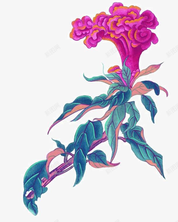 手绘鸡冠花png免抠素材_88icon https://88icon.com 国画写生小品 国画花卉 宣纸花草 彩墨国画花草 手绘国画 手绘花草 装饰植物手绘