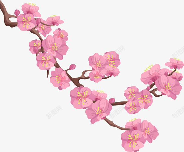 靓丽的梅花png免抠素材_88icon https://88icon.com 岁寒三友 松树 梅松竹 梅花 竹子 耐寒植物 靓丽