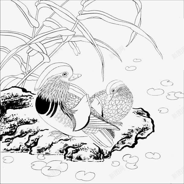 花鸟工笔画白描线框png免抠素材_88icon https://88icon.com 免费下载 工笔画 白描 线框图 花鸟 鸳鸯
