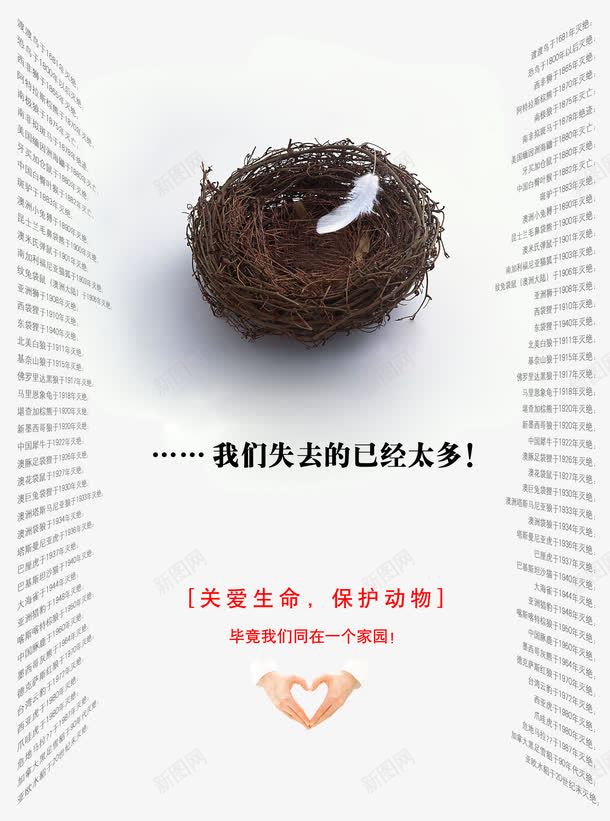 保护动物psd_88icon https://88icon.com 保护动物 公益海报 关爱生命 动物灭绝列表 爱心手势 羽毛 鸟的庇护所 鸟窝