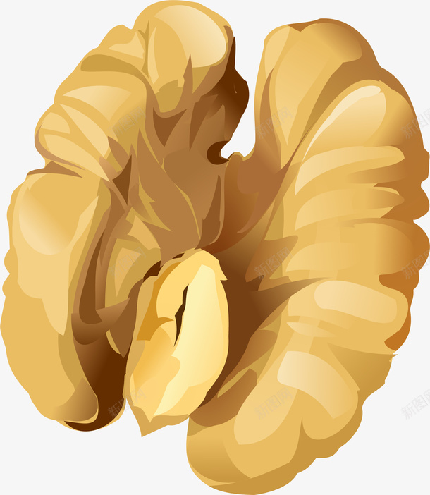 卡通核桃仁png免抠素材_88icon https://88icon.com 卡通有趣 坚果 小清新 核桃仁 矢量图案 设计图