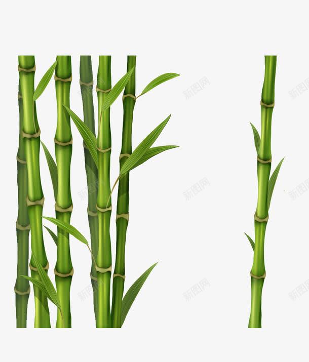 清新竹子矢量图ai免抠素材_88icon https://88icon.com 清新 竹叶 竹子 竹竿 矢量图