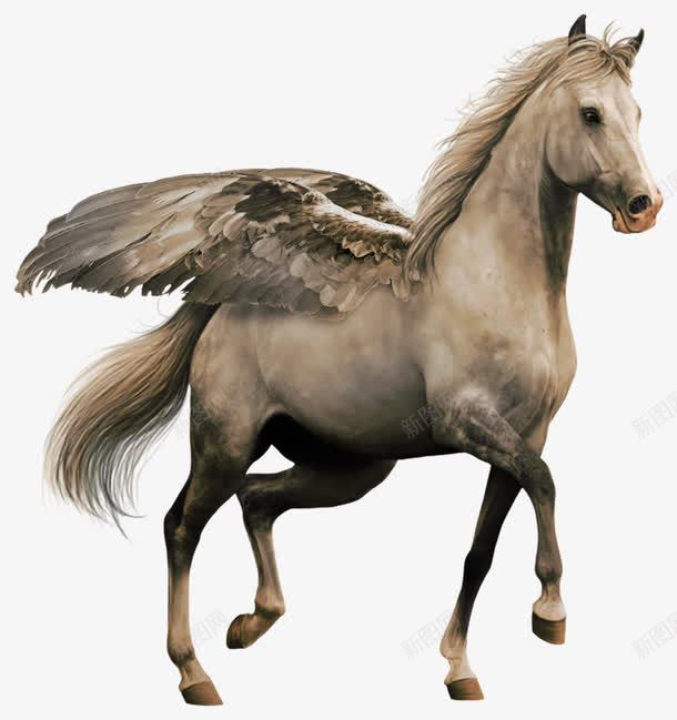 带翅膀的飞马png免抠素材_88icon https://88icon.com 带翅膀 飞马 马匹 骏马