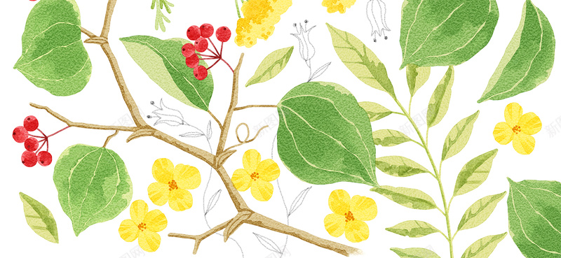 简约花瓣手绘绿色banner背景psd设计背景_88icon https://88icon.com 叶子 小清新 广告 手绘 文艺 梦幻 植物 浪漫 简约 简约花瓣 素材 背景 花 花朵 花瓣 设计