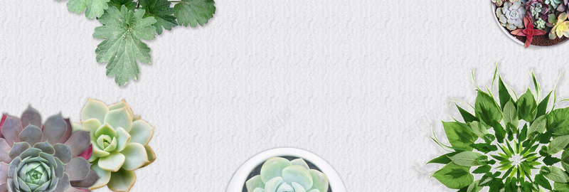 多肉绿植盆栽神奇的桌面宠物bannerpsd设计背景_88icon https://88icon.com banner 多肉 灰色 电商 盆栽 神奇的桌面宠物 简约 绿植