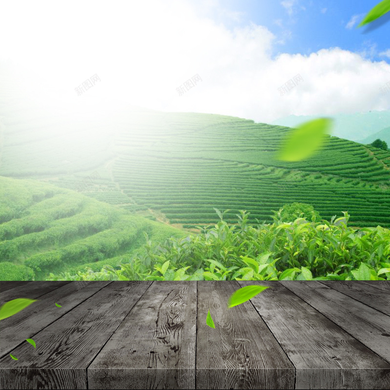 绿色茶园茶叶PSD分层主图背景psd设计背景_88icon https://88icon.com 主图 木板 淘宝 直通车 绿色背景 自然背景 茶 茶叶 茶叶背景 茶园背景