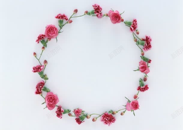 粉色玫瑰花花环壁纸jpg设计背景_88icon https://88icon.com 壁纸 玫瑰花 粉色 花环