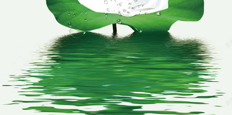 小清新养生美容美体H5背景jpg设计背景_88icon https://88icon.com 刮痧火疗 拔罐足疗 推拿瑜伽培训 火热招生 火疗介绍 瑜伽 绿色荷叶 艾灸宣传 艾灸针灸 锻炼养生馆