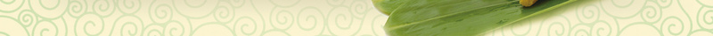 端午节海报背景psd设计背景_88icon https://88icon.com 回圈底纹 水墨山水 水墨竹 海报 端午节海报 端午节海报模板 端午节海报模板下载 竹叶 粽子