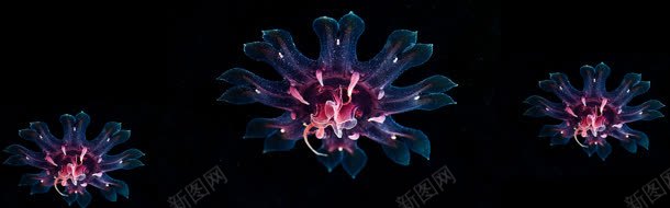 水母大气海报背景jpg设计背景_88icon https://88icon.com banner 城市 大气 奢华 摄影 楼房 淘宝素材 淡色 简约 素材 都市 风光 高楼大厦 高清