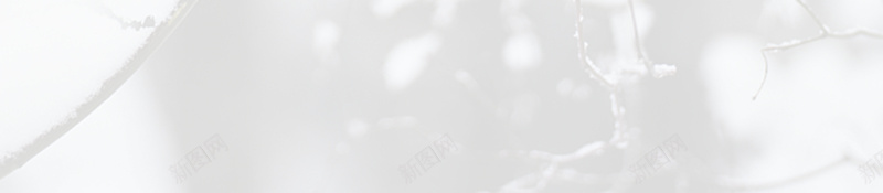 大雪灰色简约二十四节气海报psd_88icon https://88icon.com 24节气 下雪了 二十四节气海报 传统节气 冬天 冬季 大雪 简约 节气海报