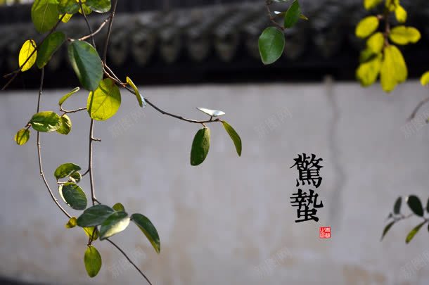 惊蛰绿叶树枝房子jpg设计背景_88icon https://88icon.com 惊蛰 房子 树枝 绿叶