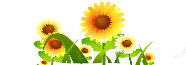 卡通太阳花向日葵背景bannerjpg设计背景_88icon https://88icon.com banner 卡通 向日葵 太阳花 背景