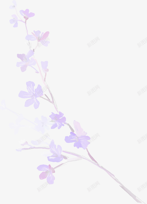 紫色漂亮花枝png免抠素材_88icon https://88icon.com 漂亮花枝 紫色花枝 花枝