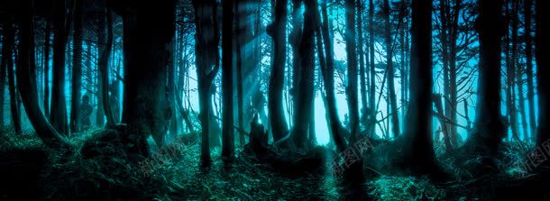 森林树林梦幻背景bannerjpg设计背景_88icon https://88icon.com banner 树林 梦幻 森林 背景