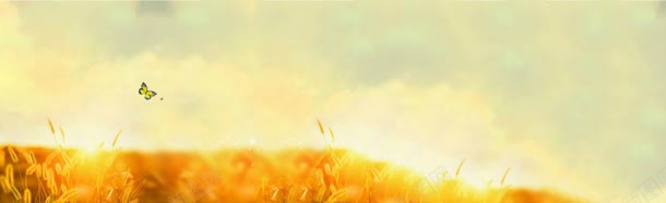 秋季羽毛唯美背景bannerjpg设计背景_88icon https://88icon.com banner 唯美 秋季 羽毛 背景 蝴蝶