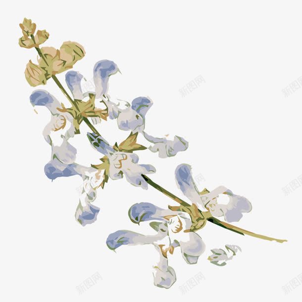 手绘水彩一支蓝色花png免抠素材_88icon https://88icon.com 唯美 手绘花朵 植物 水彩 水彩鲜花 清新 花卉 花朵 蓝色鲜花 鲜花