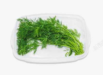 白盘子里的蔬菜png免抠素材_88icon https://88icon.com 叶子 新鲜 绿色
