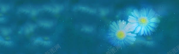 野菊花清新背景bannerjpg设计背景_88icon https://88icon.com banner 清新 背景 野菊花