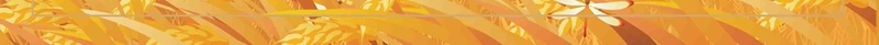中国传统文化24节气农历秋分时节psd设计背景_88icon https://88icon.com 中国风 创意节气 枫叶 秋分 秋分节气报二十四节气 秋天 秋季 秋游 节气