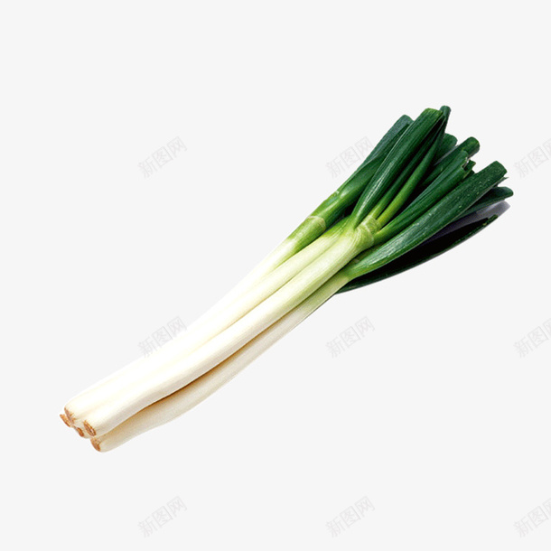 白色大葱蔬菜美食png免抠素材_88icon https://88icon.com 一捆 东北大葱 圆柱 大葱 白色 美食 蔬菜 调味 质感 食物