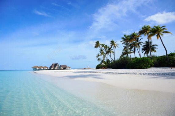 蓝天白云植物大海背景图片 蓝天白云植物大海背景