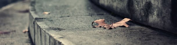 楼梯唯美banner创意jpg设计背景_88icon https://88icon.com 小清新 环保 纯色 色彩 风景