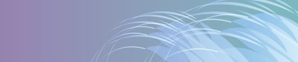 炫彩潮流banner背景jpg设计背景_88icon https://88icon.com 幻彩背景