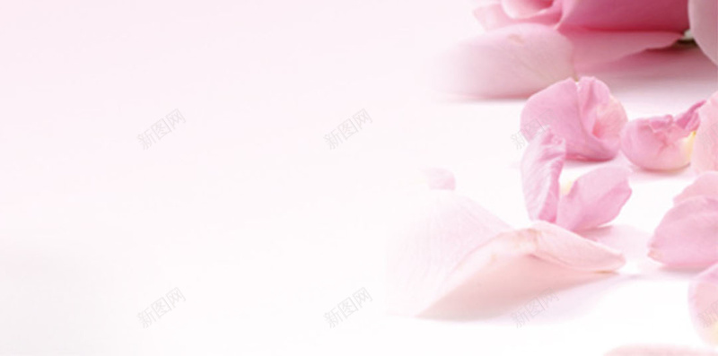 浪漫粉色H5图jpg设计背景_88icon https://88icon.com 文艺 梦幻 浪漫 浪漫粉色H5素材 爱情 玫瑰花 甜蜜 粉色