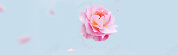 化妆品宣传海报jpg设计背景_88icon https://88icon.com 促销海报 促销海报设计 化妆品 化妆品海报 唯美 梦幻花朵 花朵
