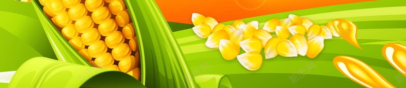 玉米油健康食用油psd设计背景_88icon https://88icon.com 150PPI PSD源文件 分层文件 压榨花生油 品质 平面设计 植物油 玉米油 花生油 调和油 食用油