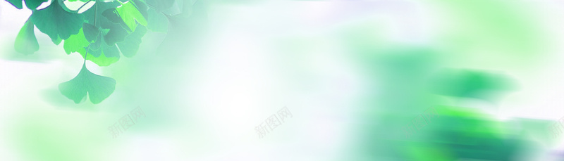 清新糖果色女包背景bannerpsd设计背景_88icon https://88icon.com banner 女包 小清新 文艺 海报banner 清新 简约 糖果 背景 色 银杏叶