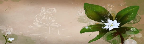 创意清新女装花朵背景图jpg设计背景_88icon https://88icon.com 创意 女装 清新 背景 花朵