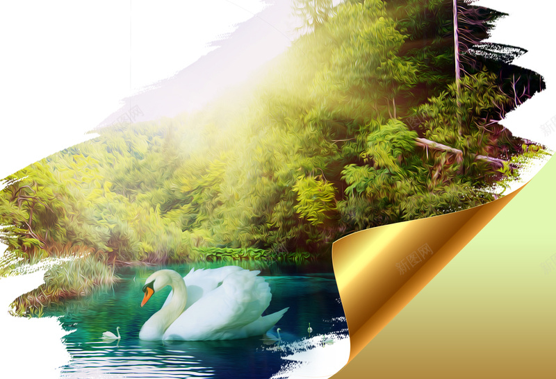 自然清新美景天鹅摄影背景psd_88icon https://88icon.com 天鹅 天鹅素材 摄影 清新 清新背景 美景 背景素材 自然 自然美景