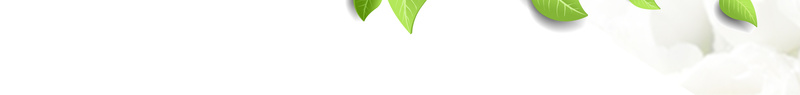清新祛痘植物背景psd设计背景_88icon https://88icon.com 植物背景 清新 清新素材 清新背景 祛痘广告