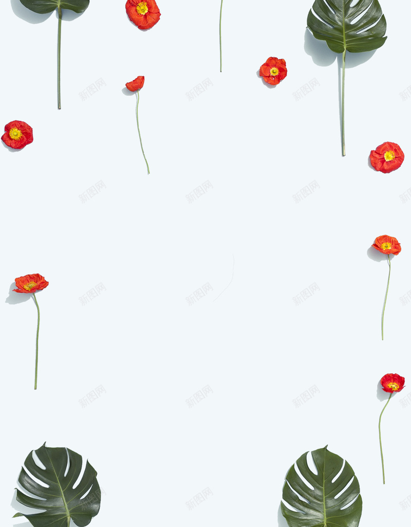 女生节小清新淘宝商业卡通海报展板背景psd设计背景_88icon https://88icon.com 卡通背景素材 可爱 女生节海报背景 小清新 植物 浅蓝 淘宝广告背景 生日贺卡 鲜花